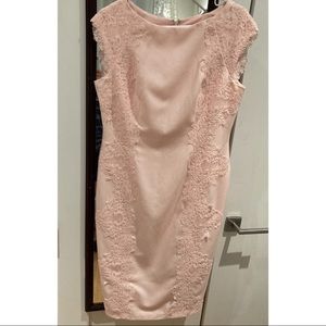 Maggy London Pink Fitted Dress